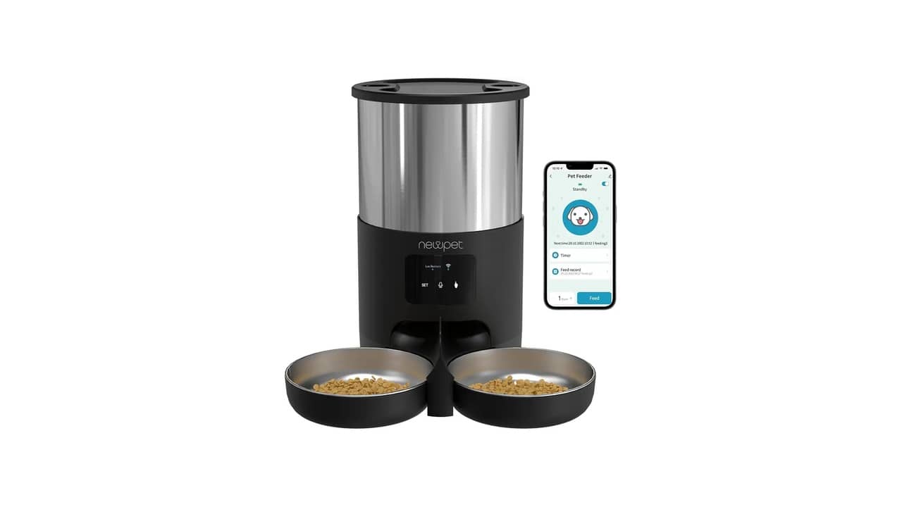 Melhor alimentador automático para gato: 10 Smart