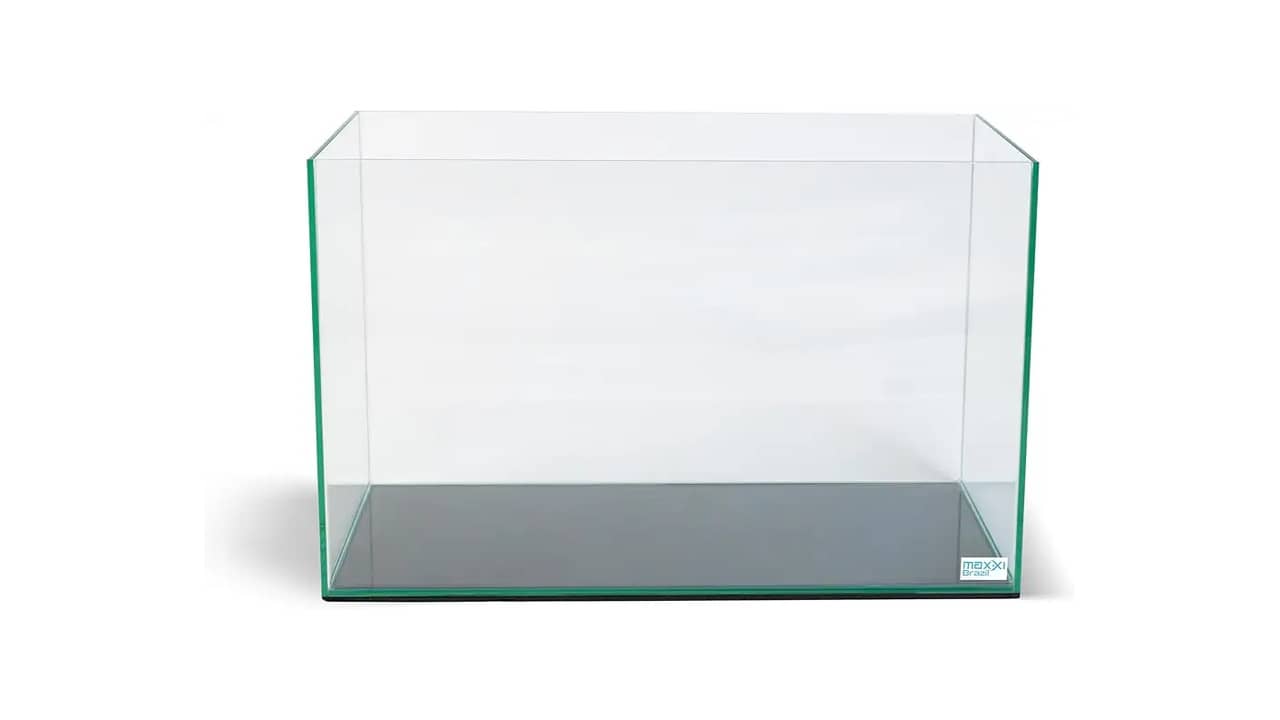 Melhor Aquário: 10 Opções de Alto Custo-Benefício!