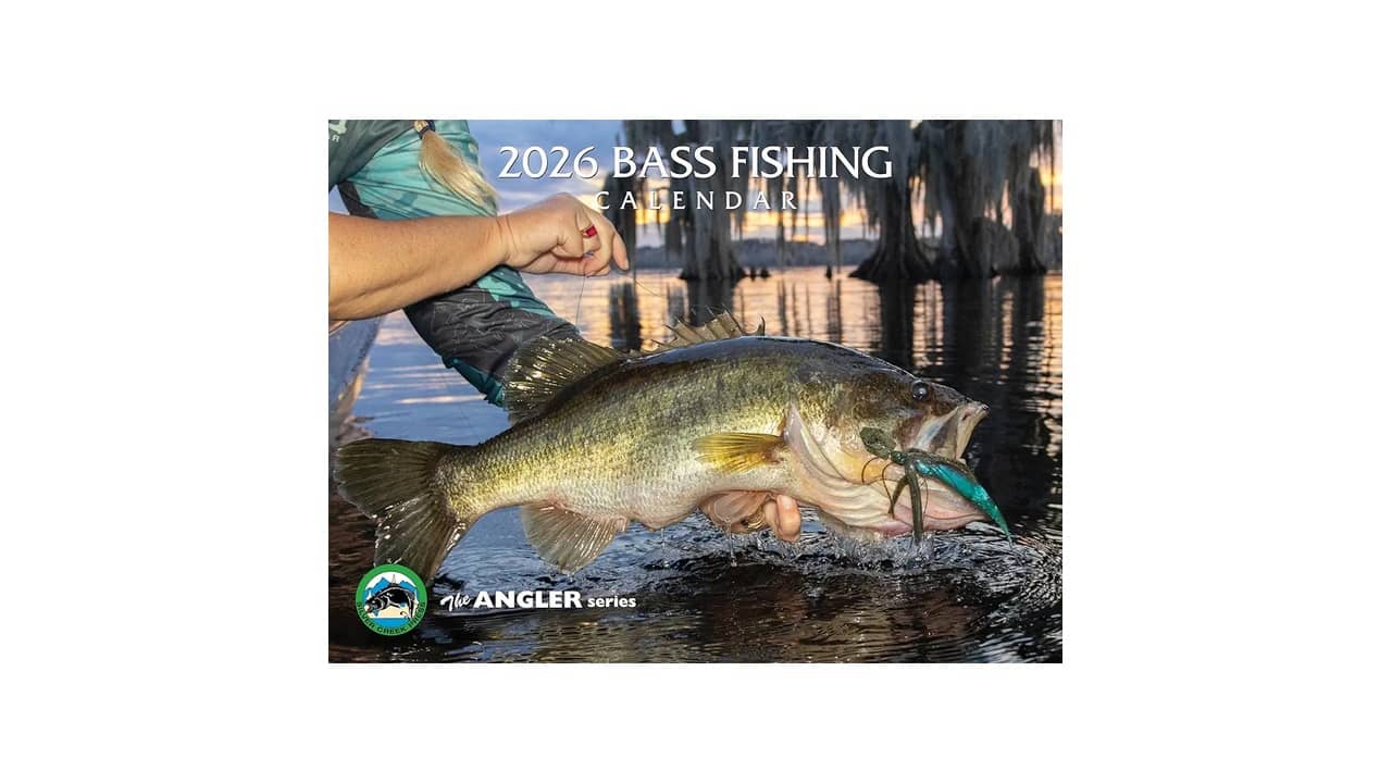 Melhor Baixo 2026: 10 Modelos de Alto Desempenho