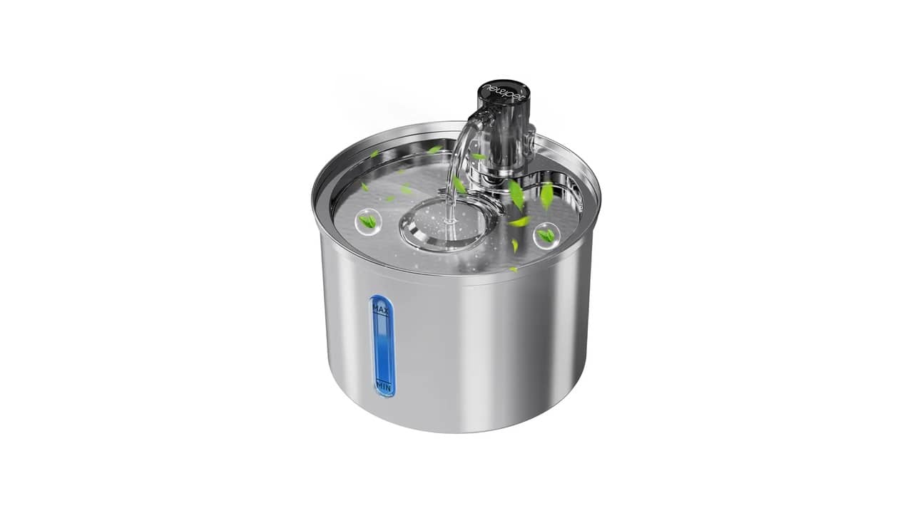 Melhor Bebedouro para Gato: 10 Modelos para Saúde Renal