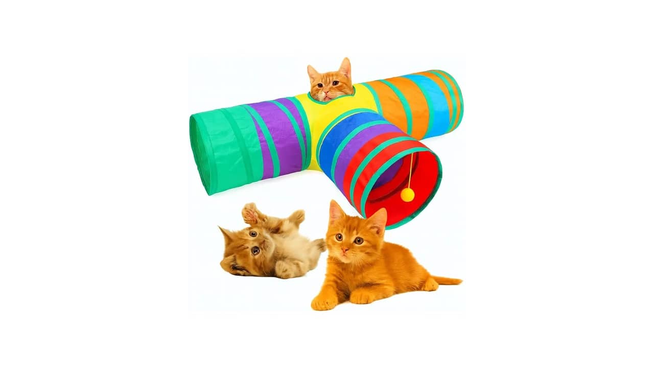 Melhor Brinquedo Interativo para Gato: 10 Opções