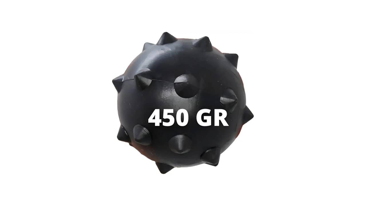 Melhor Brinquedo para Cão Grande: 10 Modelos Resistentes