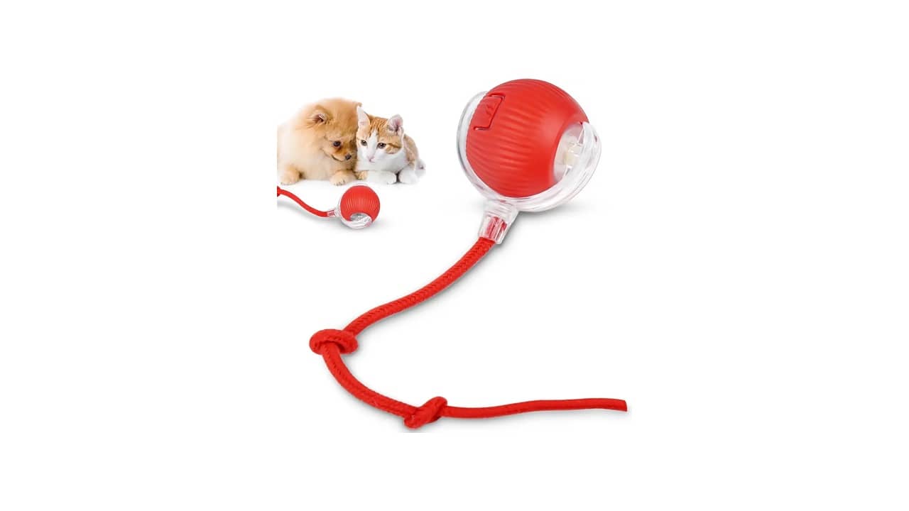 Melhor Brinquedo para Gato: 10 Opções de Diversão