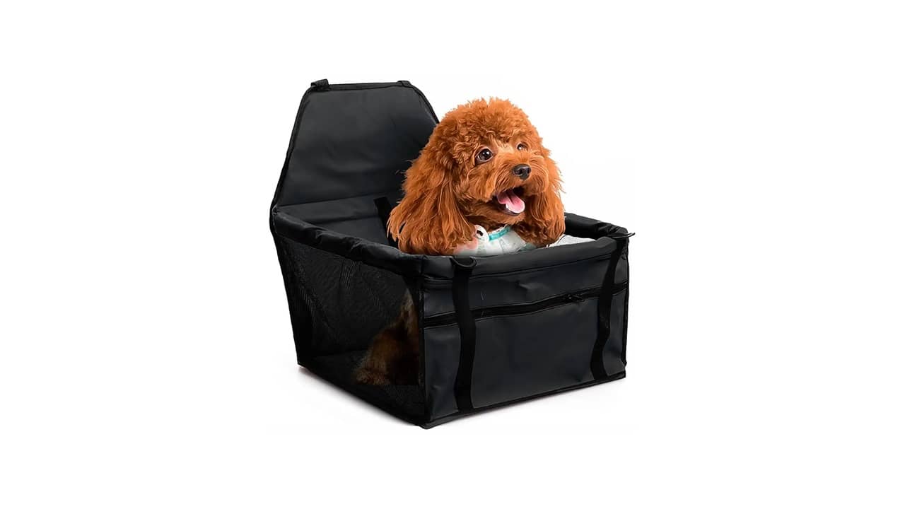 Melhor Cadeirinha para Cachorro: 10 Opções Seguras