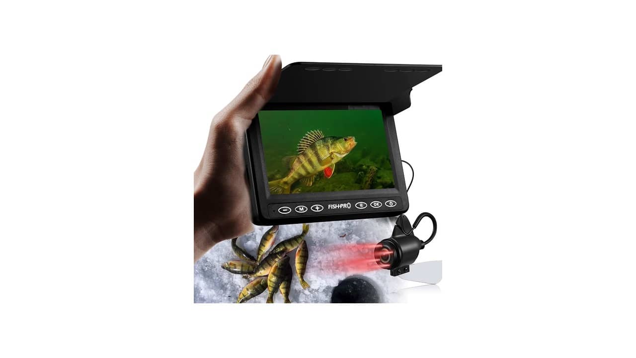 Melhor Câmera Profissional 2026: Guia de Escolha para Iniciantes