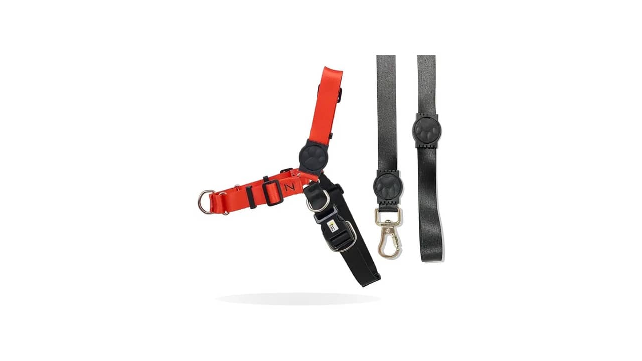 Melhor Coleira Anti Puxão: 9 Modelos Eficientes