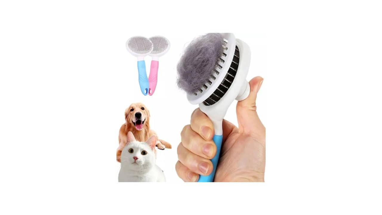 Melhor Escova para Border Collie: 10 Opções Antinós