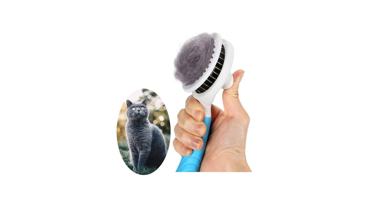 Melhor Escova para Gato de Pelo Curto: 10 Opções