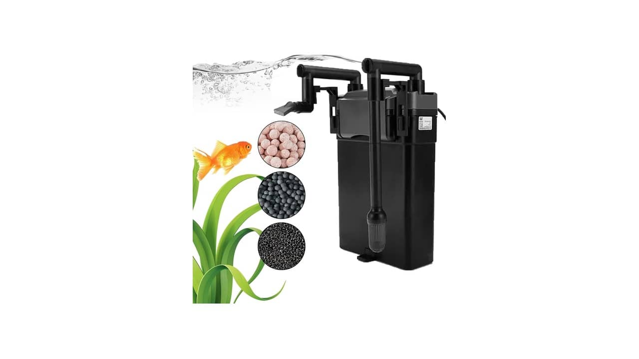 Melhor Filtro Interno ou Externo Aquário: Qual o Ideal?