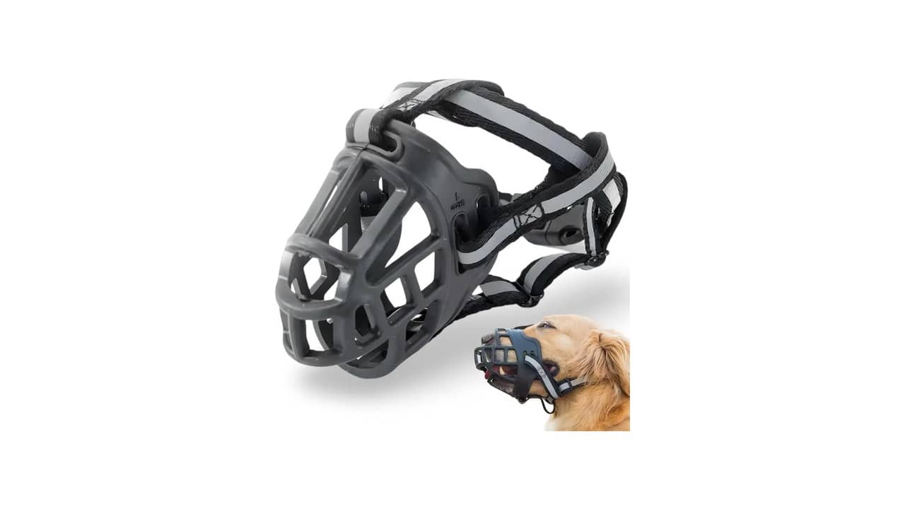 Melhor Focinheira para Cachorro: 10 Opções Seguras