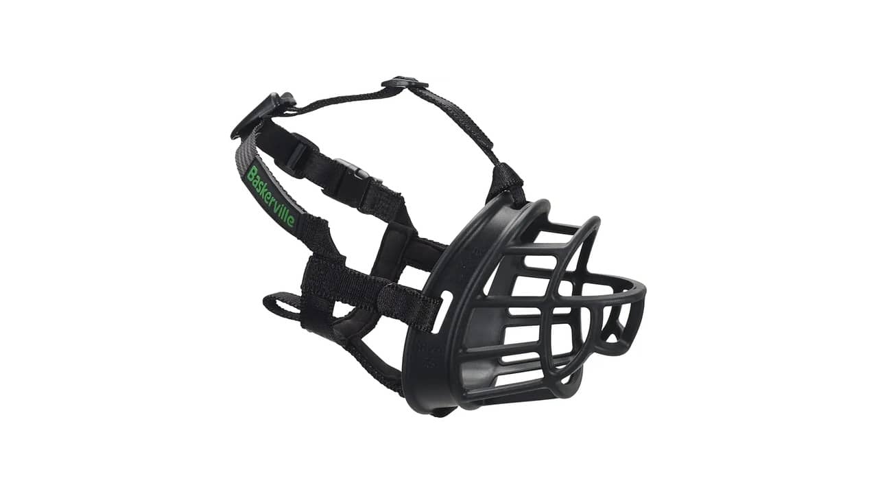 Melhor focinheira para pitbull: 9 Modelos Seguros e Respiráveis