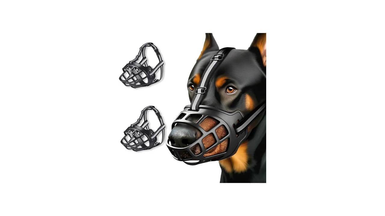 Melhor Focinheira para Rottweiler: 6 Opções Fortes