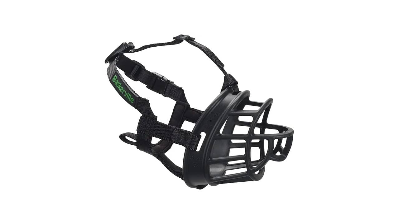 Melhor Focinheira: 10 Opções de Máxima Segurança