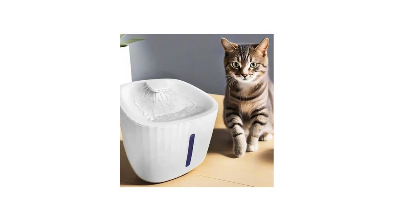 Melhor Fonte de Água Automática para Gato: Top 10