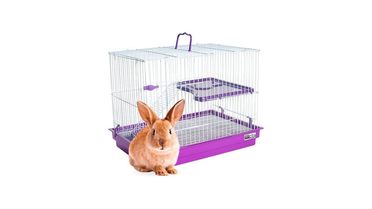 Melhor Gaiola para Coelho: 10 Modelos com Ótimo Custo-Benefício