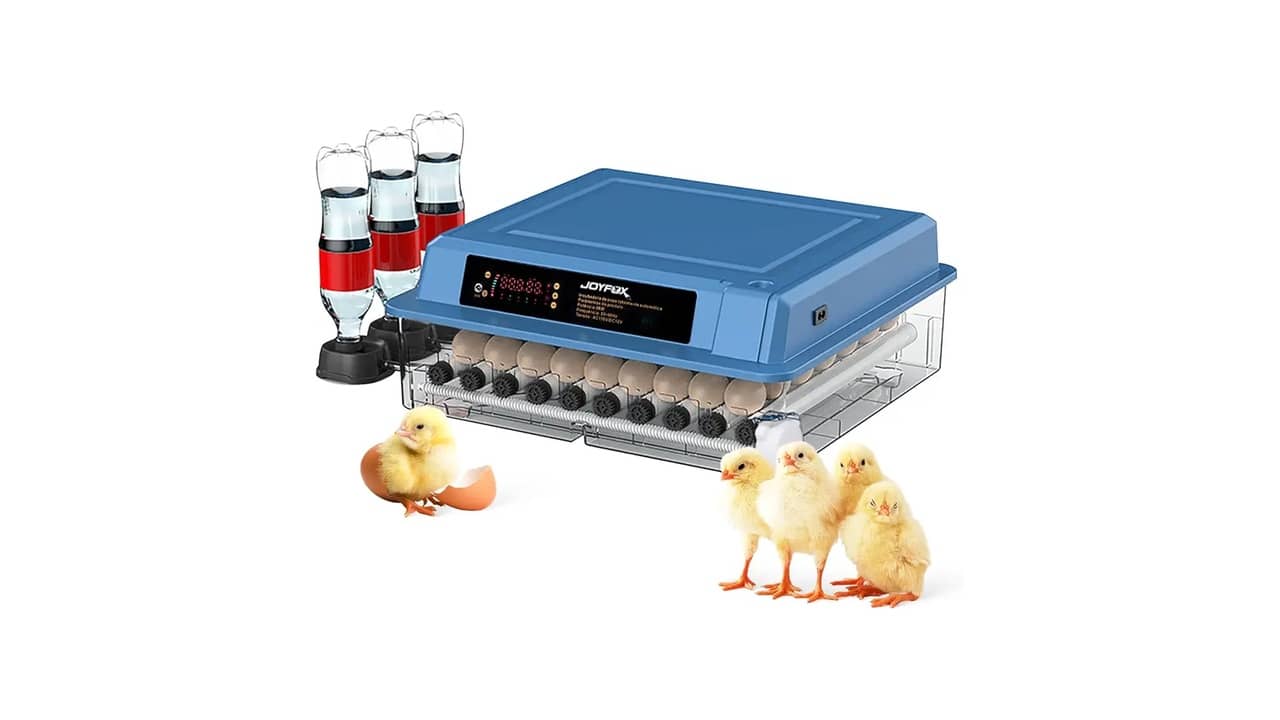 Melhor Marca de Chocadeira: 10 Modelos Automáticos