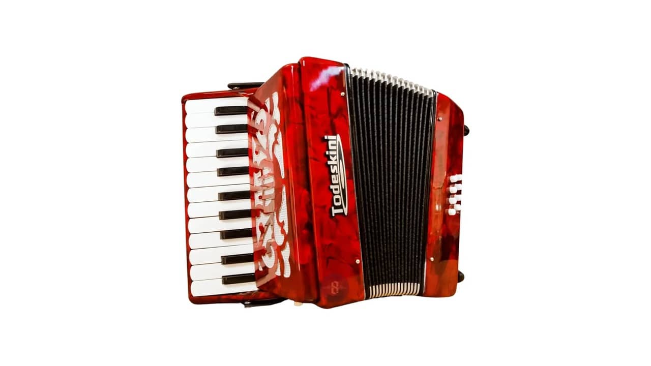 Melhor marca de gaita sanfona: Guia de 4 Modelos