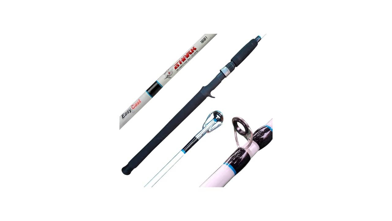 Melhor Marca de Vara de Pesca para Carretilha? Top 10