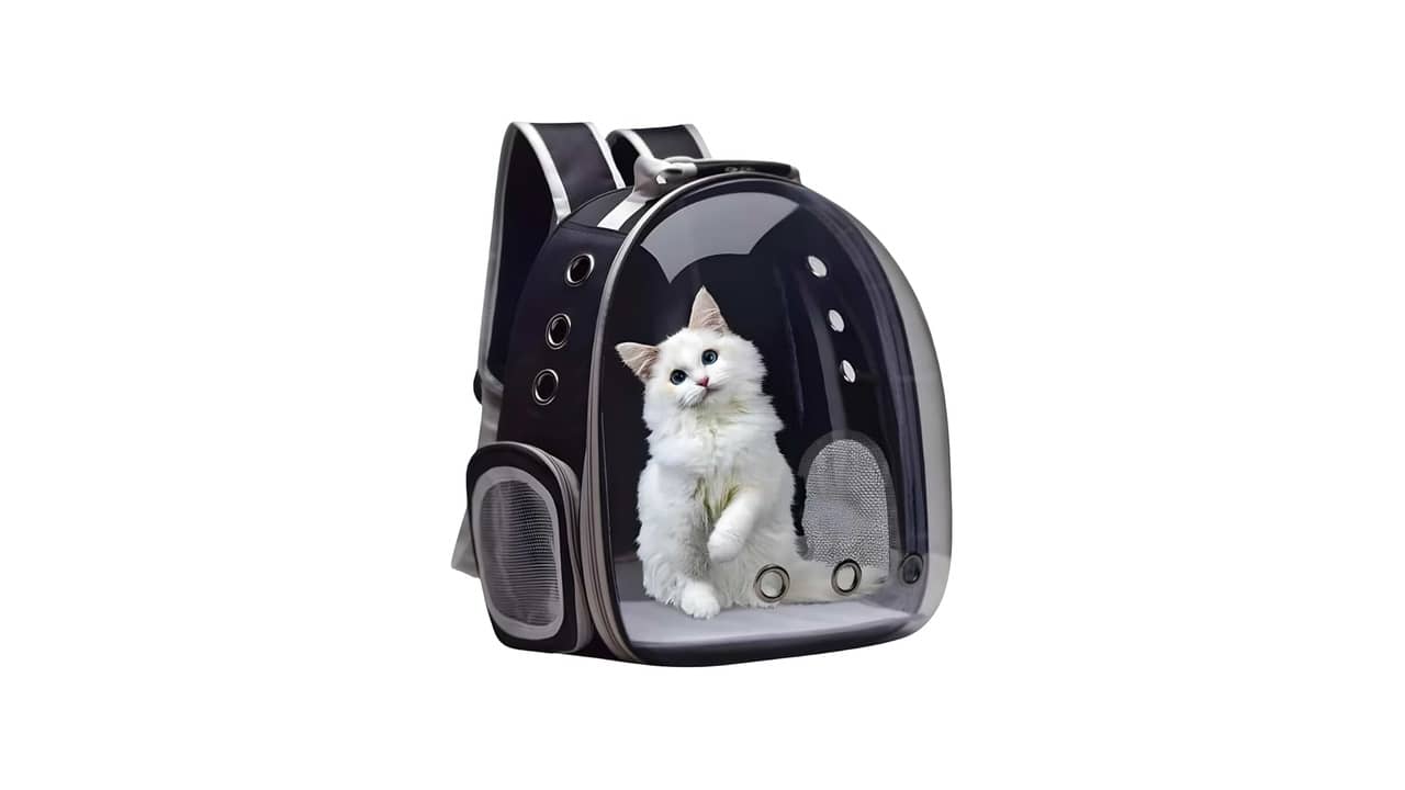 Melhor Mochila Transparente para Gato: 10 Melhores