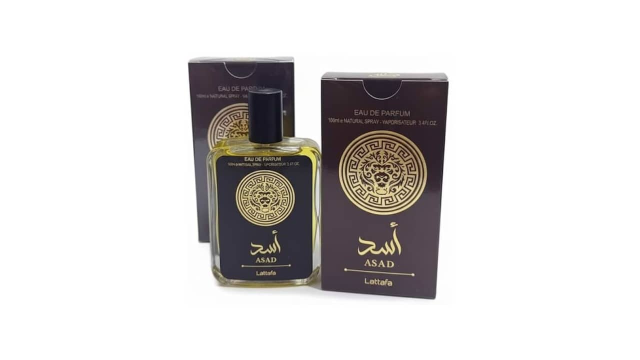 Melhor perfume amadeirado masculino: Guia Completo