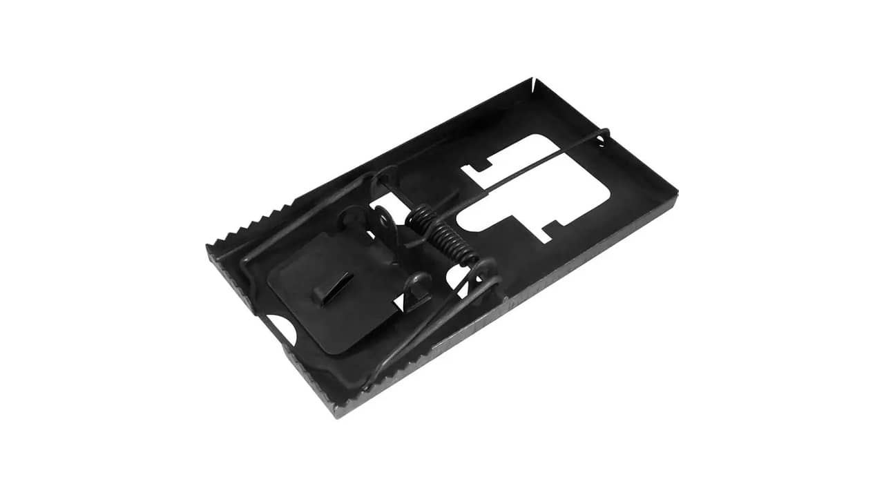 Melhor Ratoeira: 10 Opções de Alta Eficácia