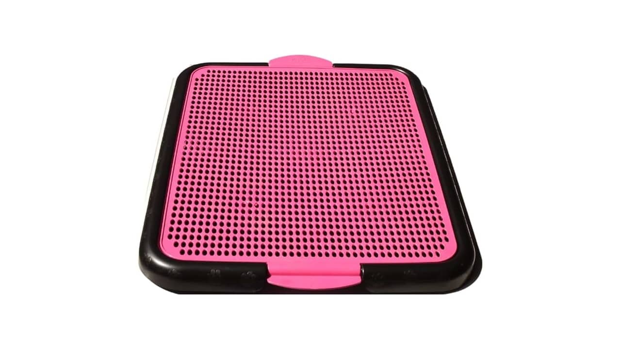 Melhor Sanitário para Cachorro: 10 Modelos Práticos