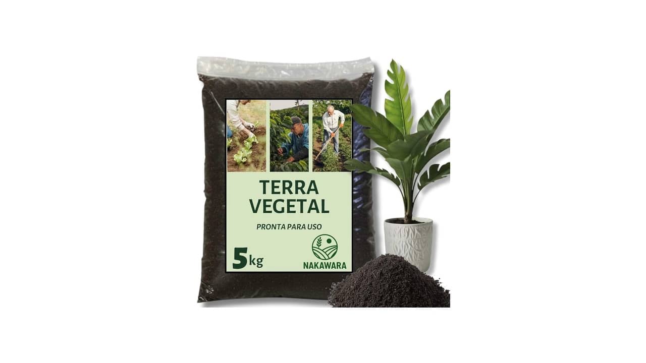 Melhor terra para plantar morango: Top 10 Opções Férteis