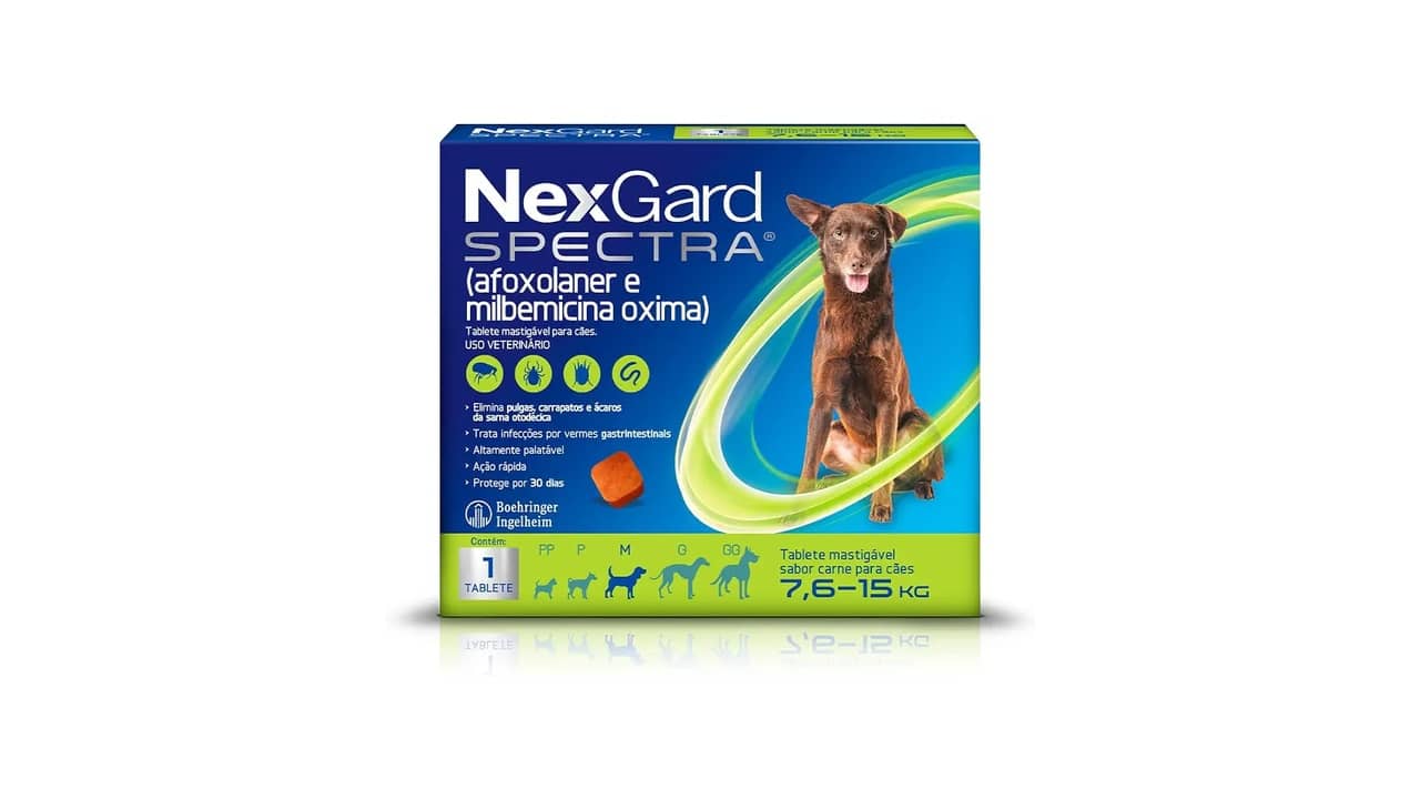 Melhor veneno para pulga em cachorro: Pipeta ou Comprimido?