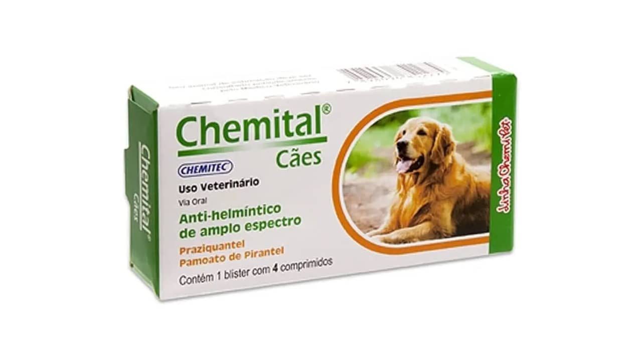 Melhor vermífugo para cão adulto: Top 10 Eficientes