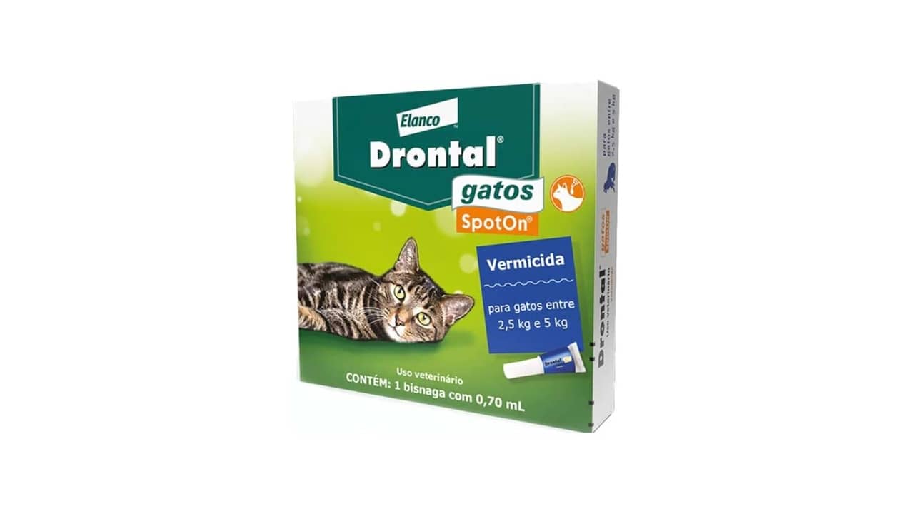 Melhor Vermífugo para Gato: 10 Opções Seguras e Eficazes