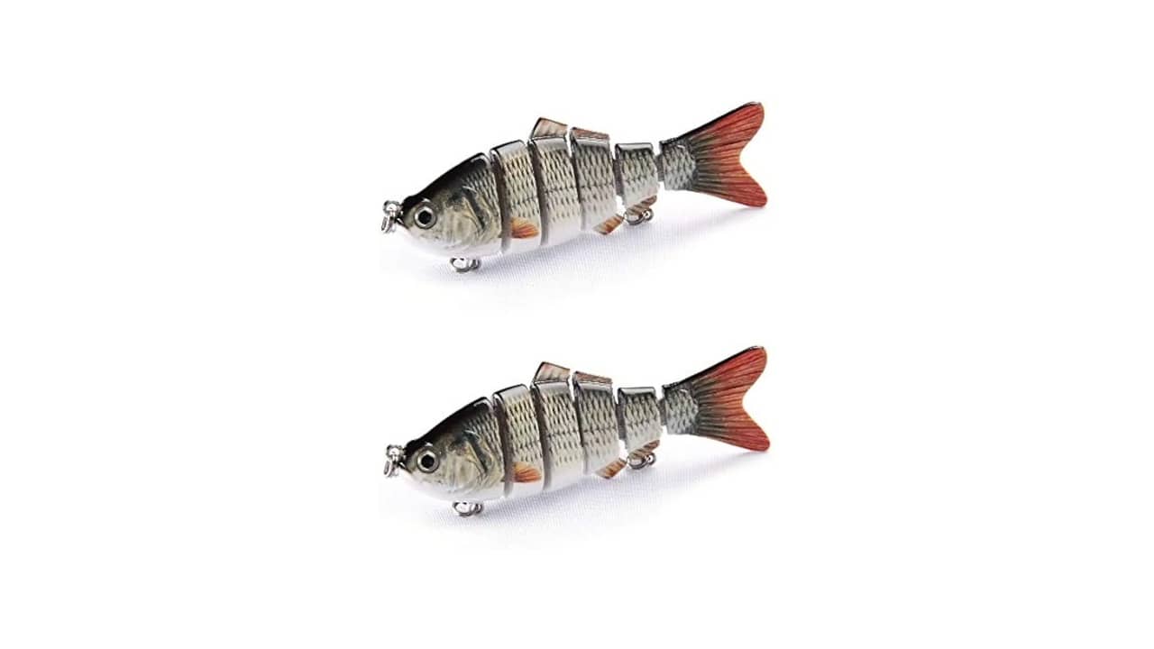 Qual a Melhor Isca para Pegar Pintado: 8 Opções Eficazes